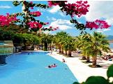 Image of Club Blue Dreams