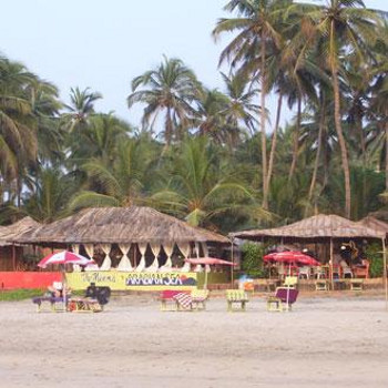Image of Meems Arabian Sea Hotel