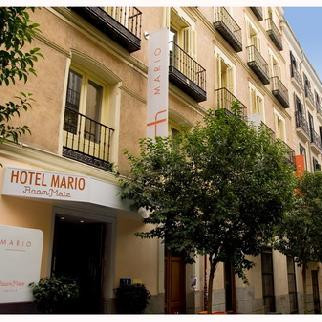 Image of Room Mate Mario