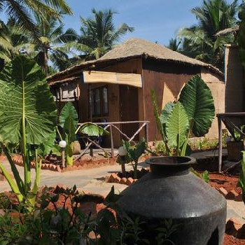 Image of Agonda